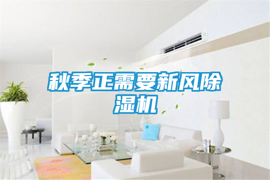 秋季正需要新风除湿机