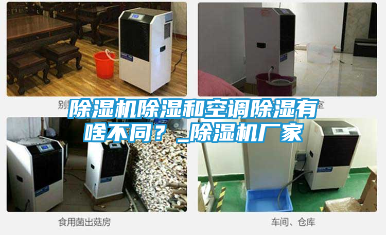 除湿机除湿和空调除湿有啥不同？_除湿机厂家