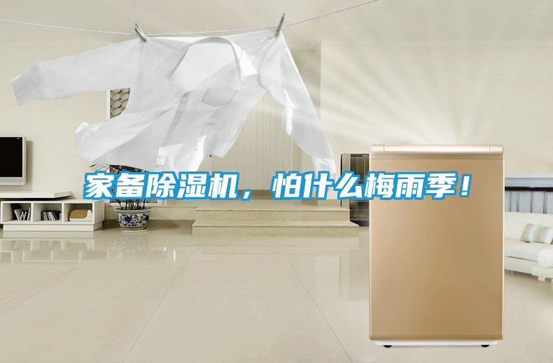 家备除湿机，怕什么梅雨季！