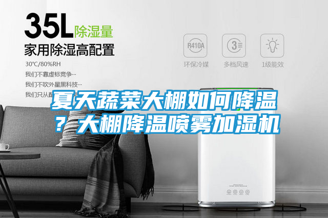 夏天蔬菜大棚如何降温？大棚降温喷雾加湿机