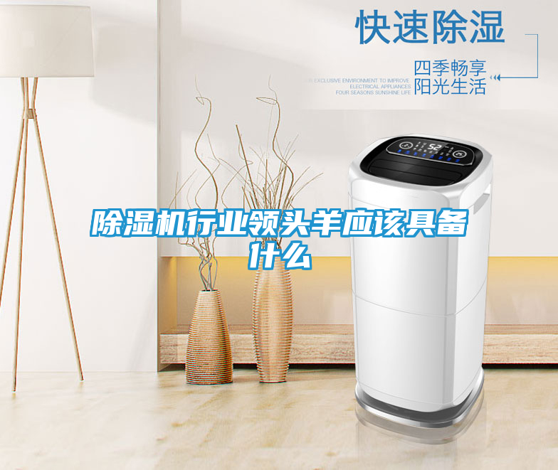 除湿机行业领头羊应该具备什么