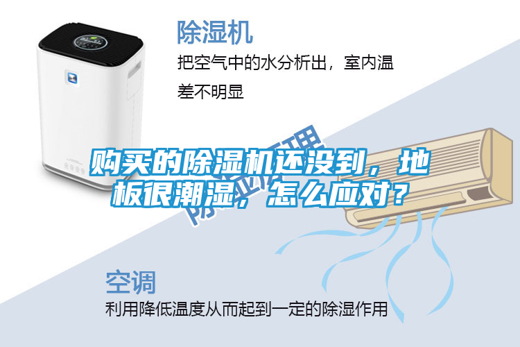 购买的除湿机还没到，地板很潮湿，怎么应对？