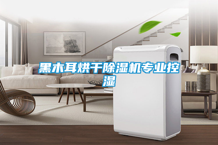 黑木耳烘干除湿机专业控湿