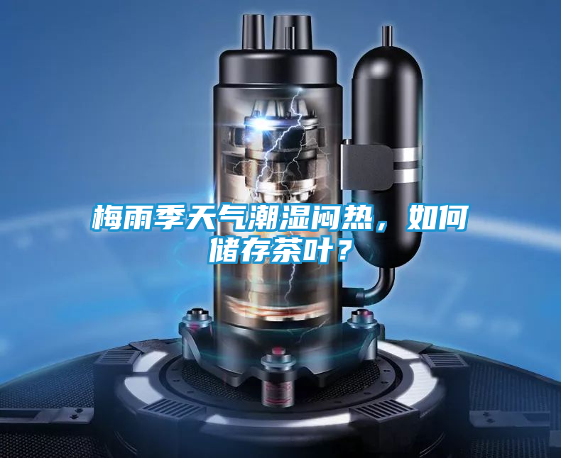 梅雨季天气潮湿闷热，如何储存茶叶？