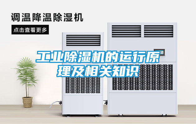 工业除湿机的运行原理及相关知识