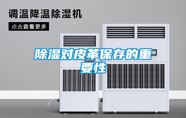 除湿对皮革保存的重要性