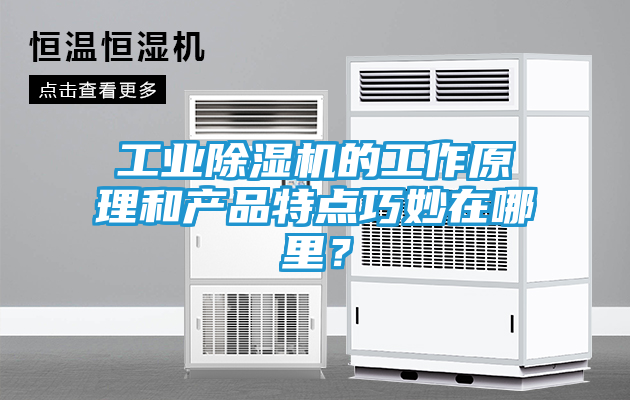 工业除湿机的工作原理和产品特点巧妙在哪里？