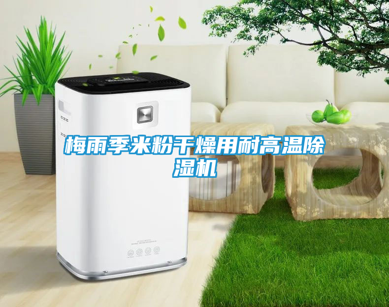 梅雨季米粉干燥用耐高温除湿机