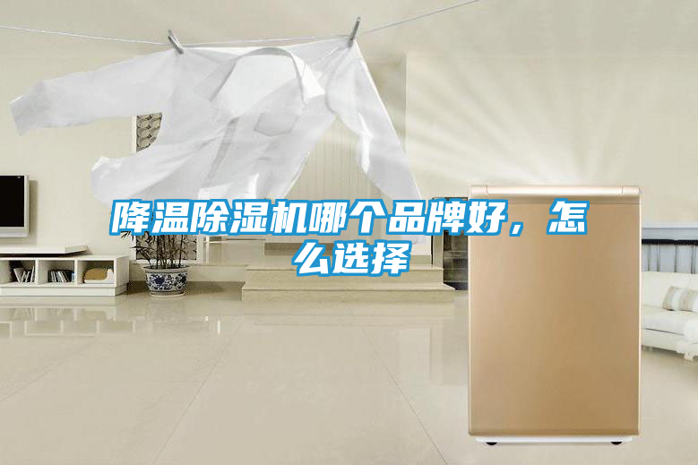 降温除湿机哪个品牌好，怎么选择