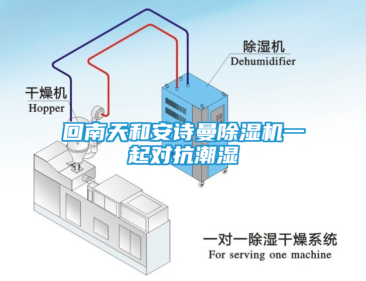 回南天和安诗曼除湿机一起对抗潮湿