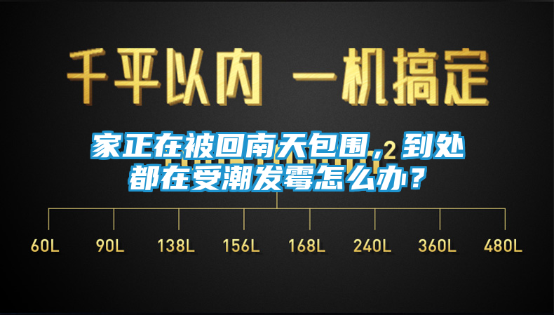 家正在被回南天包围，到处都在受潮发霉怎么办？