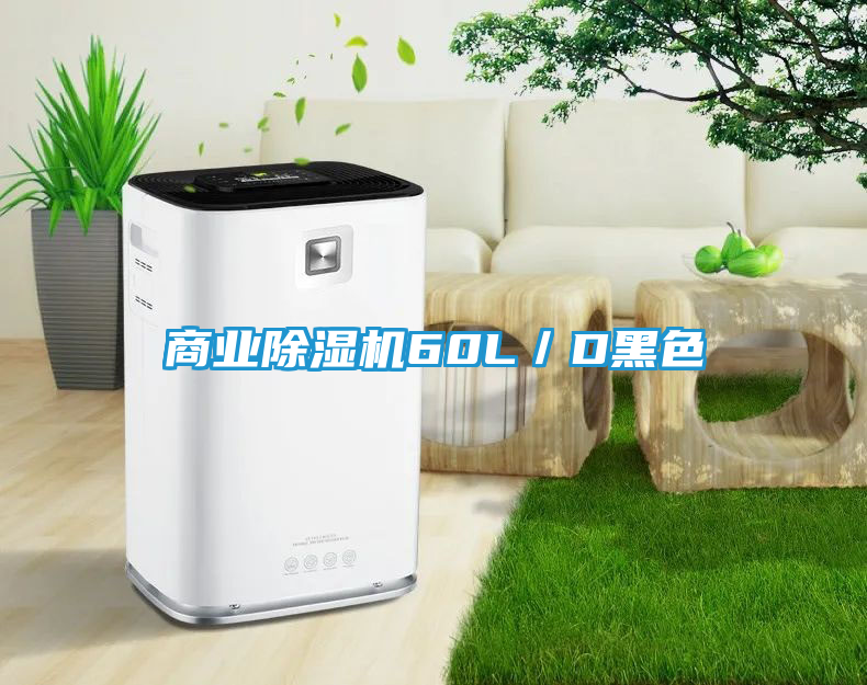 商业除湿机60L／D黑色