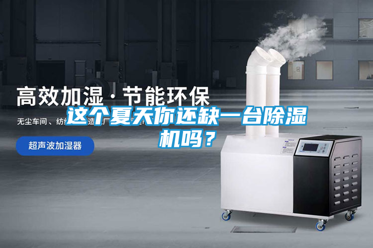 这个夏天你还缺一台除湿机吗？