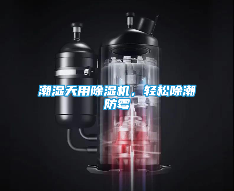 潮湿天用除湿机，轻松除潮防霉