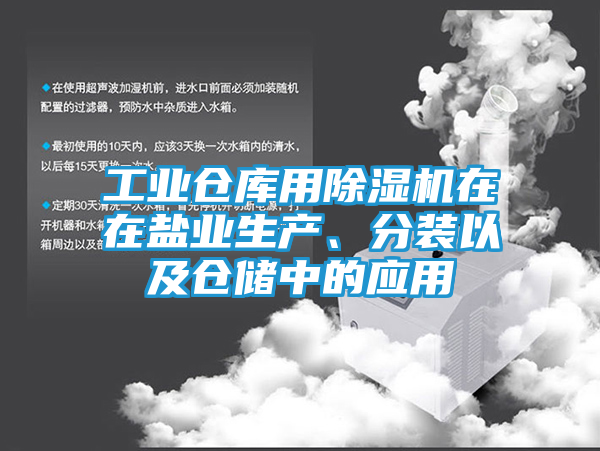 工业仓库用除湿机在在盐业生产、分装以及仓储中的应用
