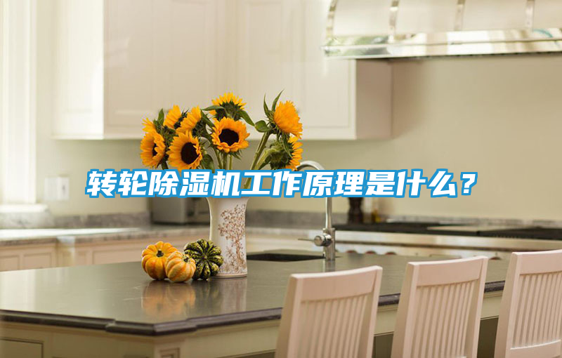 转轮除湿机工作原理是什么？