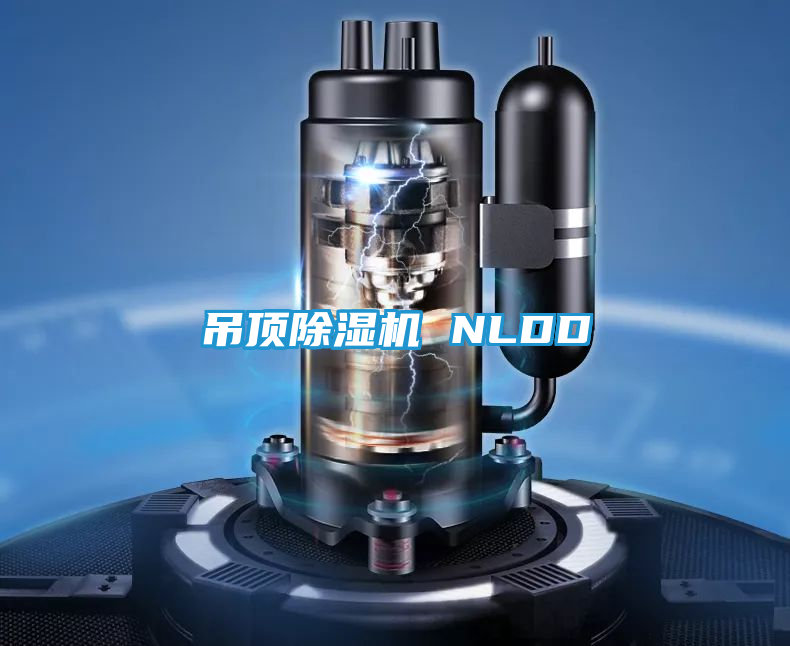 吊顶除湿机 NLDD