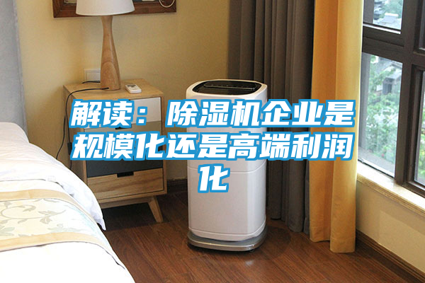 解读：除湿机企业是规模化还是高端利润化