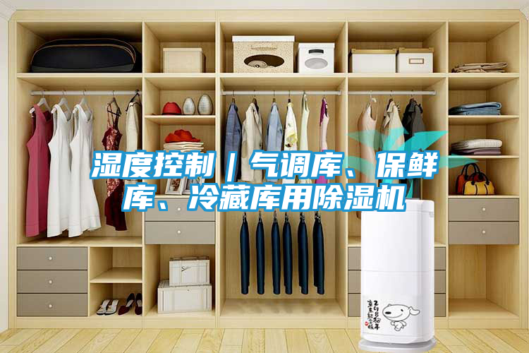 湿度控制｜气调库、保鲜库、冷藏库用除湿机