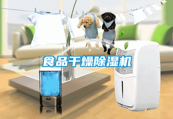 食品干燥除湿机