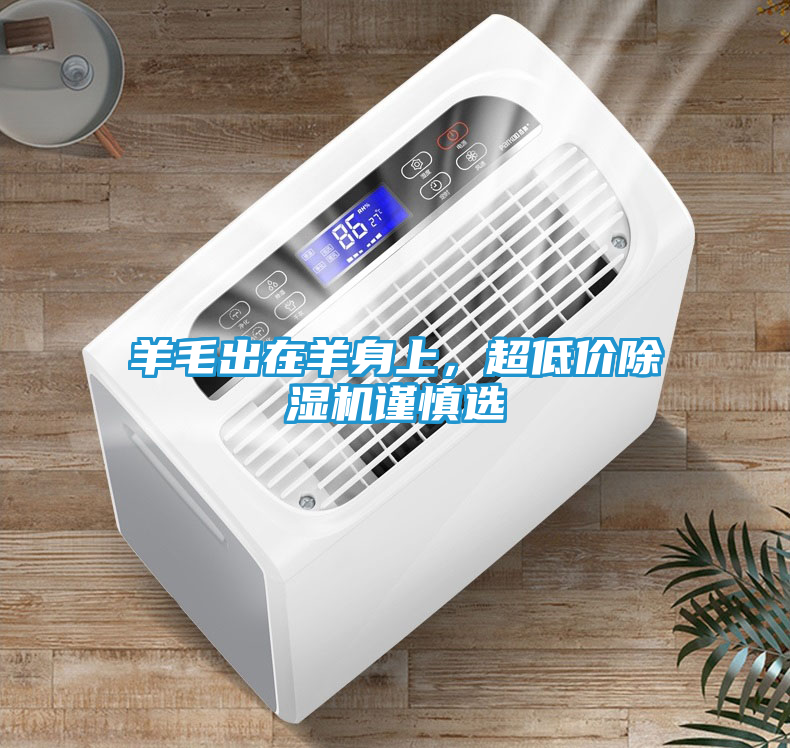 羊毛出在羊身上，超低价除湿机谨慎选