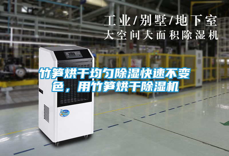 竹笋烘干均匀除湿快速不变色，用竹笋烘干除湿机