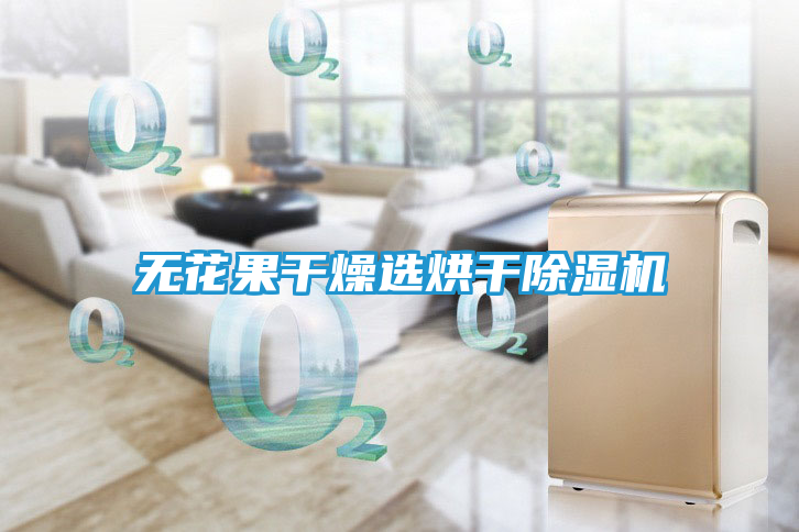 无花果干燥选烘干除湿机