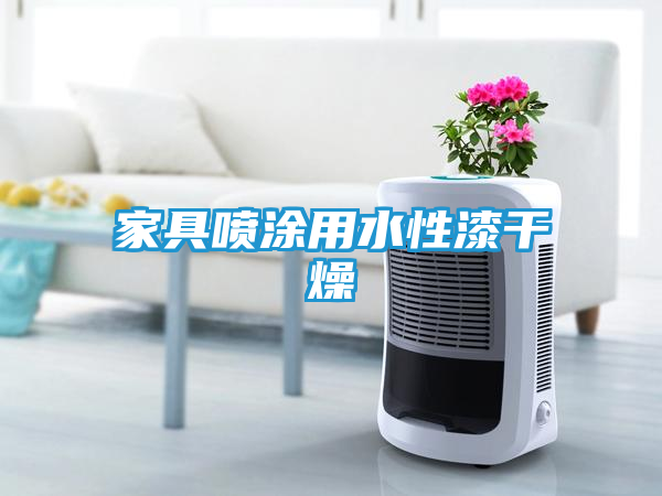 家具喷涂用水性漆干燥