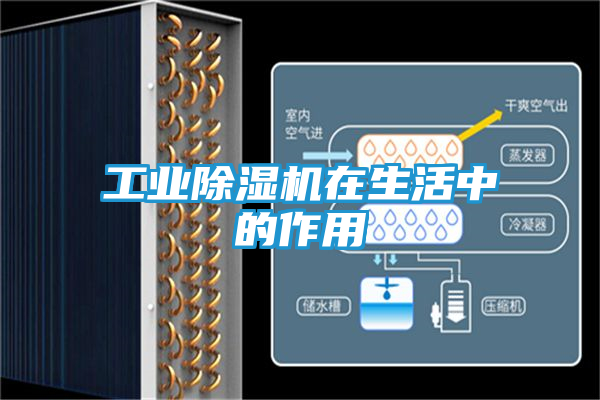 工业除湿机在生活中的作用