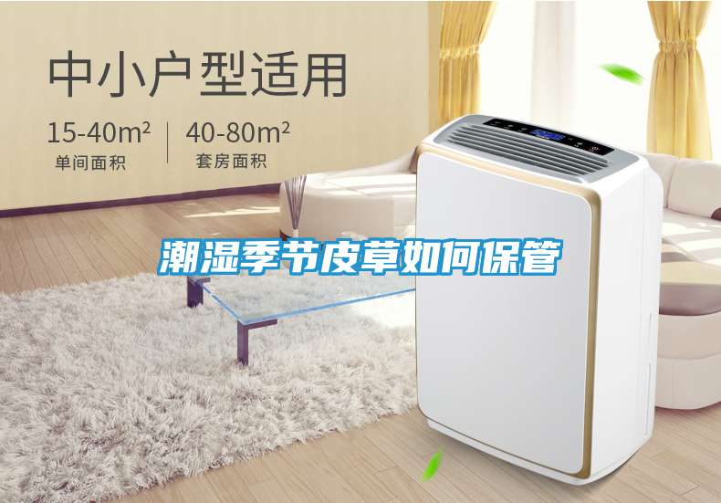 潮湿季节皮草如何保管