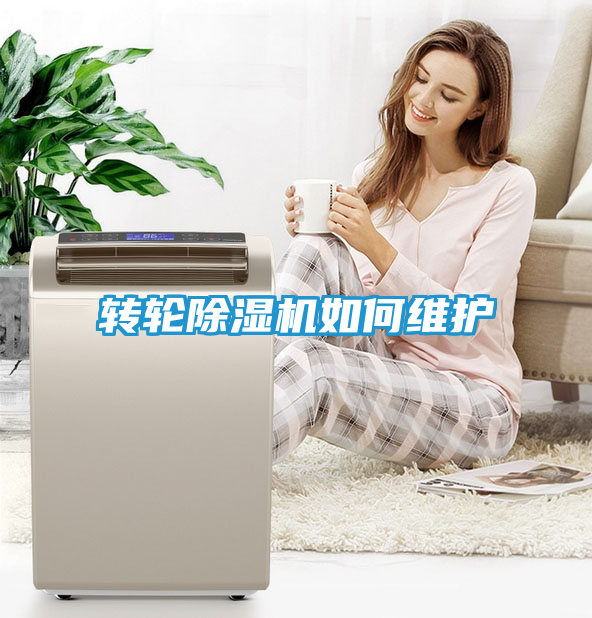 转轮除湿机如何维护