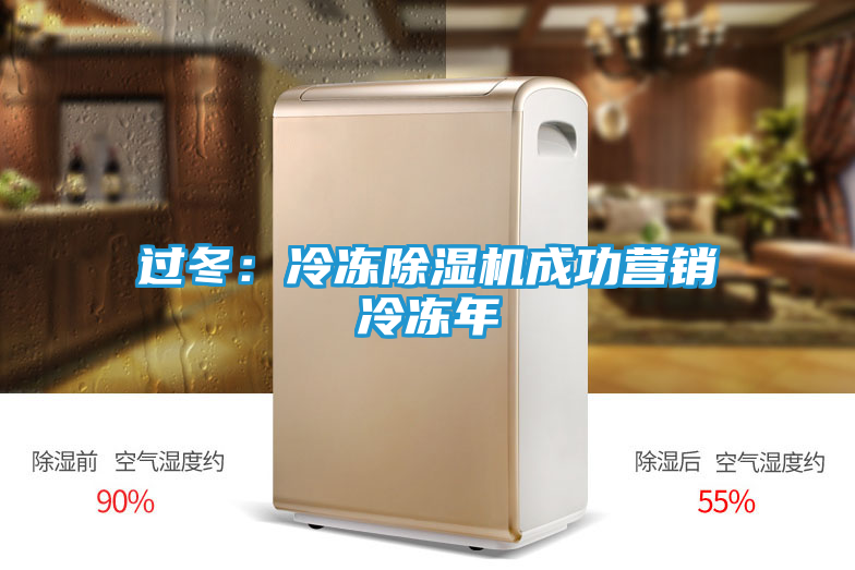 过冬：冷冻除湿机成功营销冷冻年
