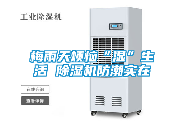 梅雨天烦恼“湿”生活 除湿机防潮实在