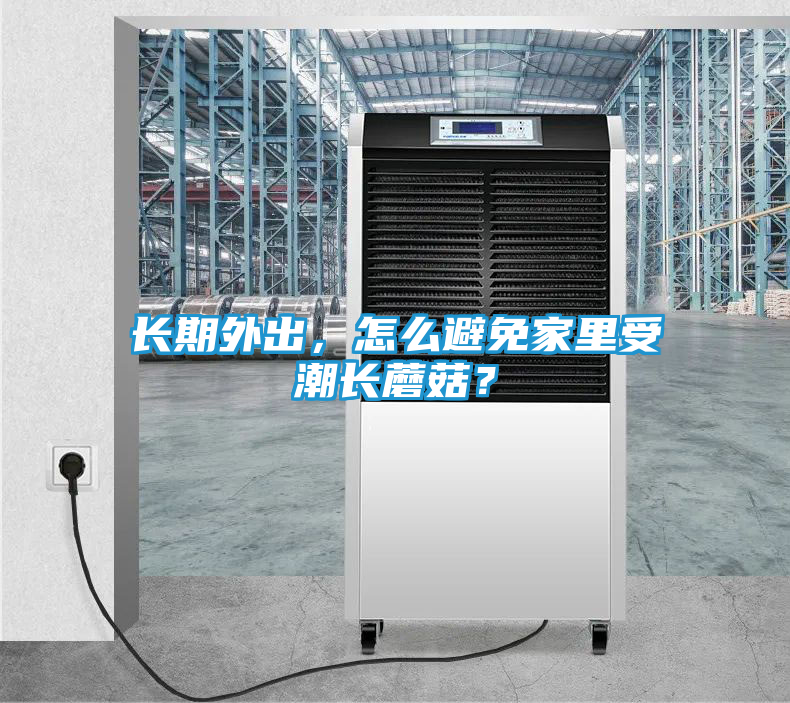 长期外出，怎么避免家里受潮长蘑菇？