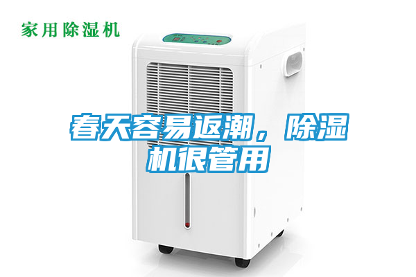 春天容易返潮，除湿机很管用