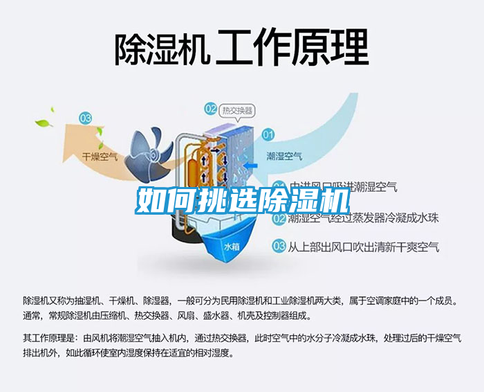 如何挑选除湿机