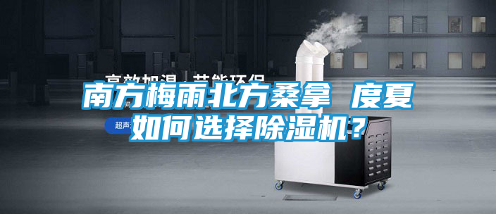 南方梅雨北方桑拿 度夏如何选择除湿机？