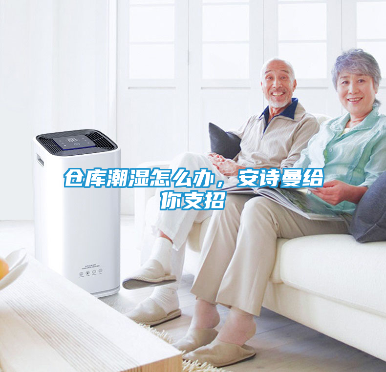 仓库潮湿怎么办，安诗曼给你支招