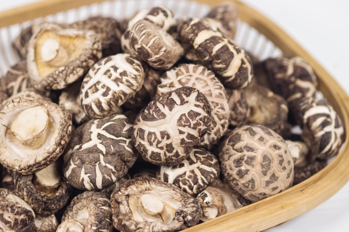 干货仓库怎么利用除湿机保持干爽?