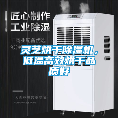 灵芝烘干除湿机，低温高效烘干品质好