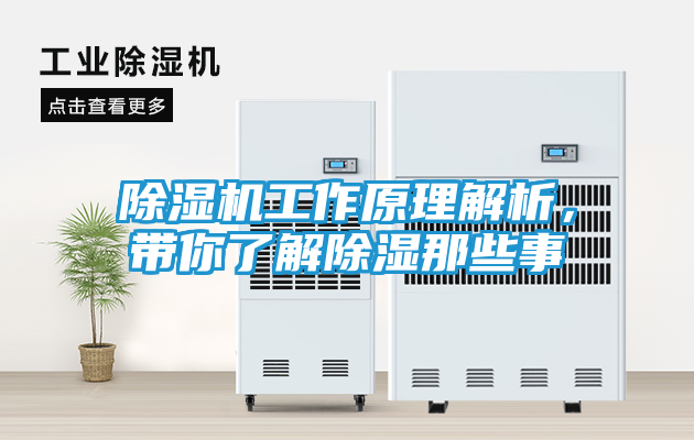 除湿机工作原理解析，带你了解除湿那些事