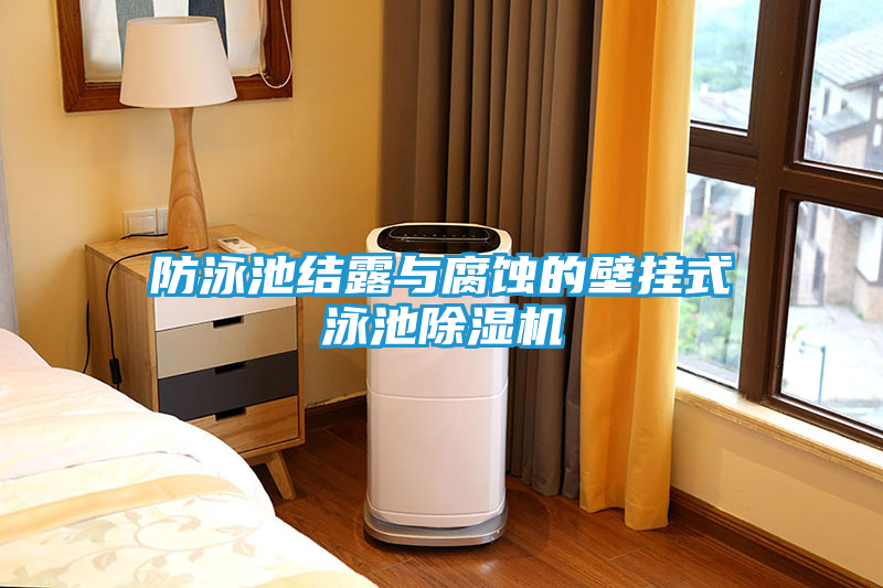 防泳池结露与腐蚀的壁挂式泳池除湿机