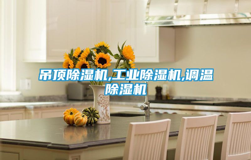 吊顶除湿机,工业除湿机,调温除湿机