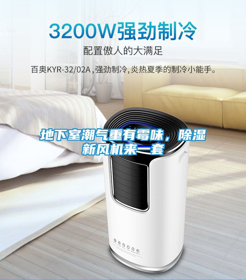 地下室潮气重有霉味，除湿新风机来一套