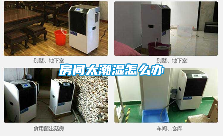 房间太潮湿怎么办