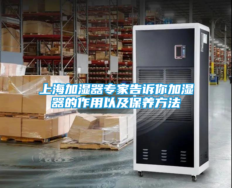 上海加湿器专家告诉你加湿器的作用以及保养方法