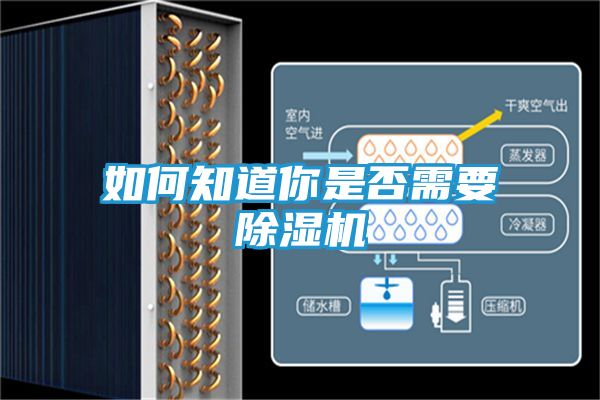 如何知道你是否需要除湿机