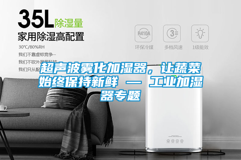 超声波雾化加湿器，让蔬菜始终保持新鲜 — 工业加湿器专题