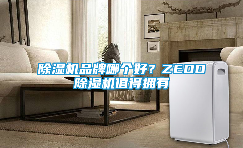 除湿机品牌哪个好？ZEDO除湿机值得拥有
