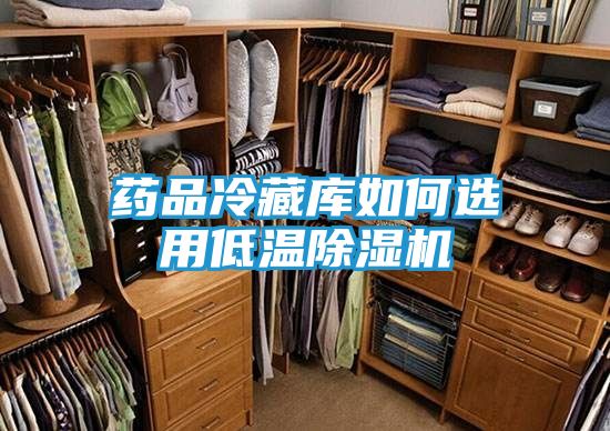 药品冷藏库如何选用低温除湿机